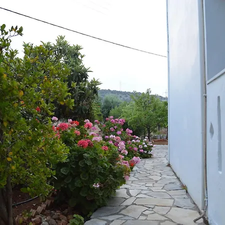 Nikos Aparthotel Stalida